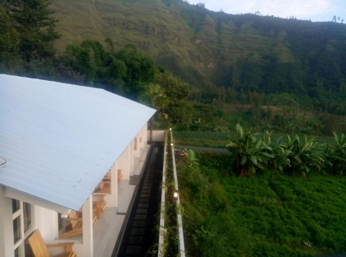 Fredelia Homestay Bromo Exterior foto