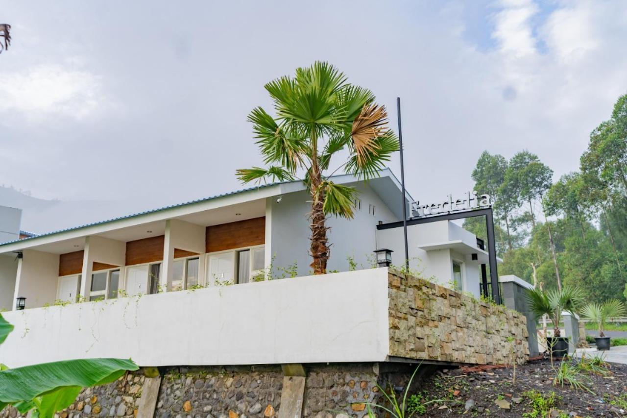 Fredelia Homestay Bromo Exterior foto