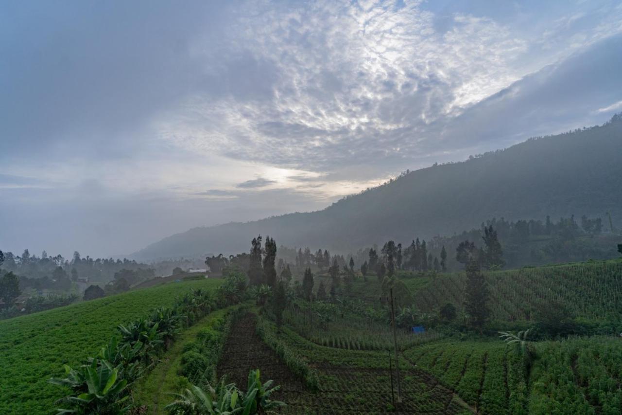 Fredelia Homestay Bromo Exterior foto